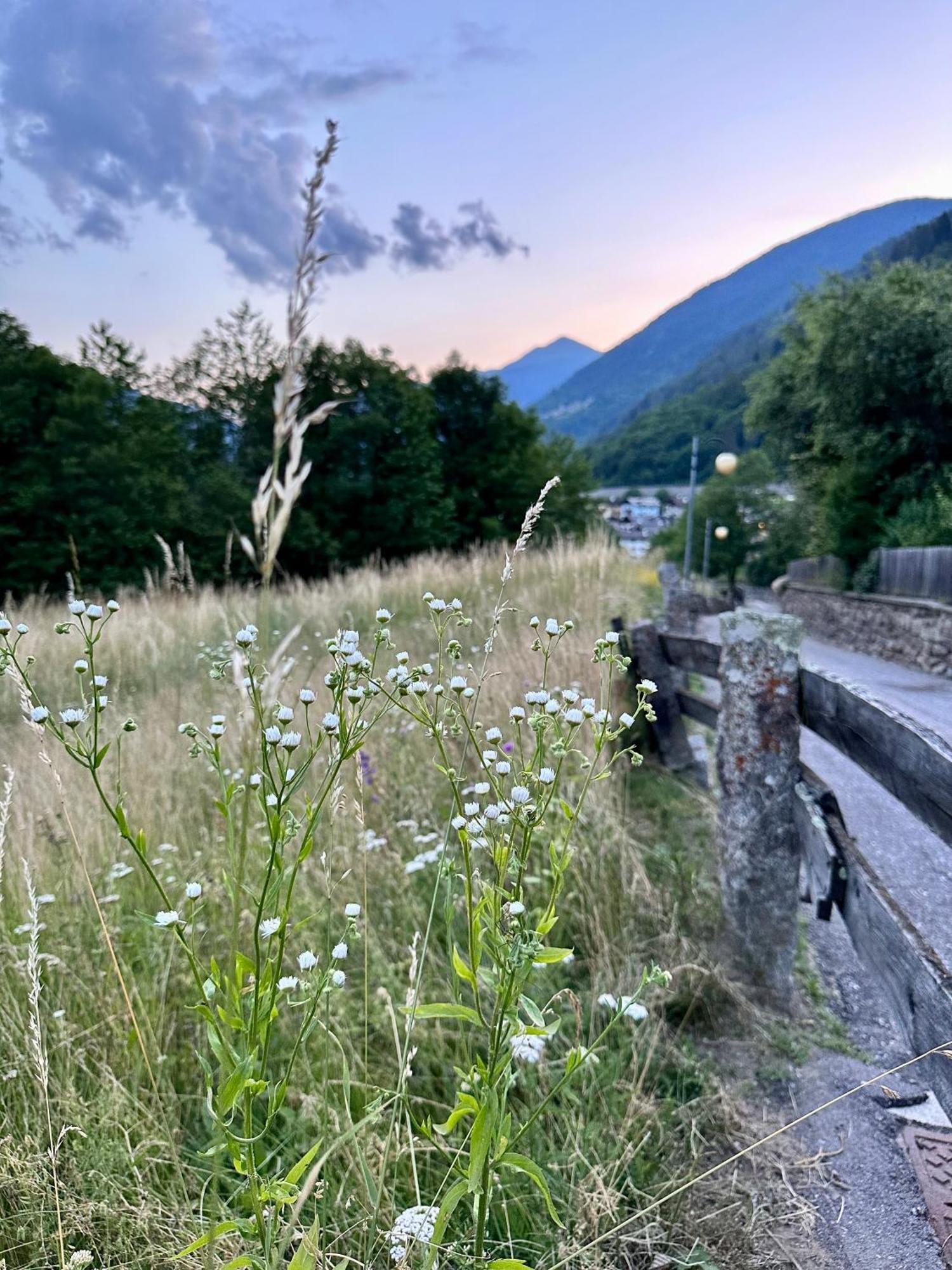 Si Mezzana Home Bagian luar foto