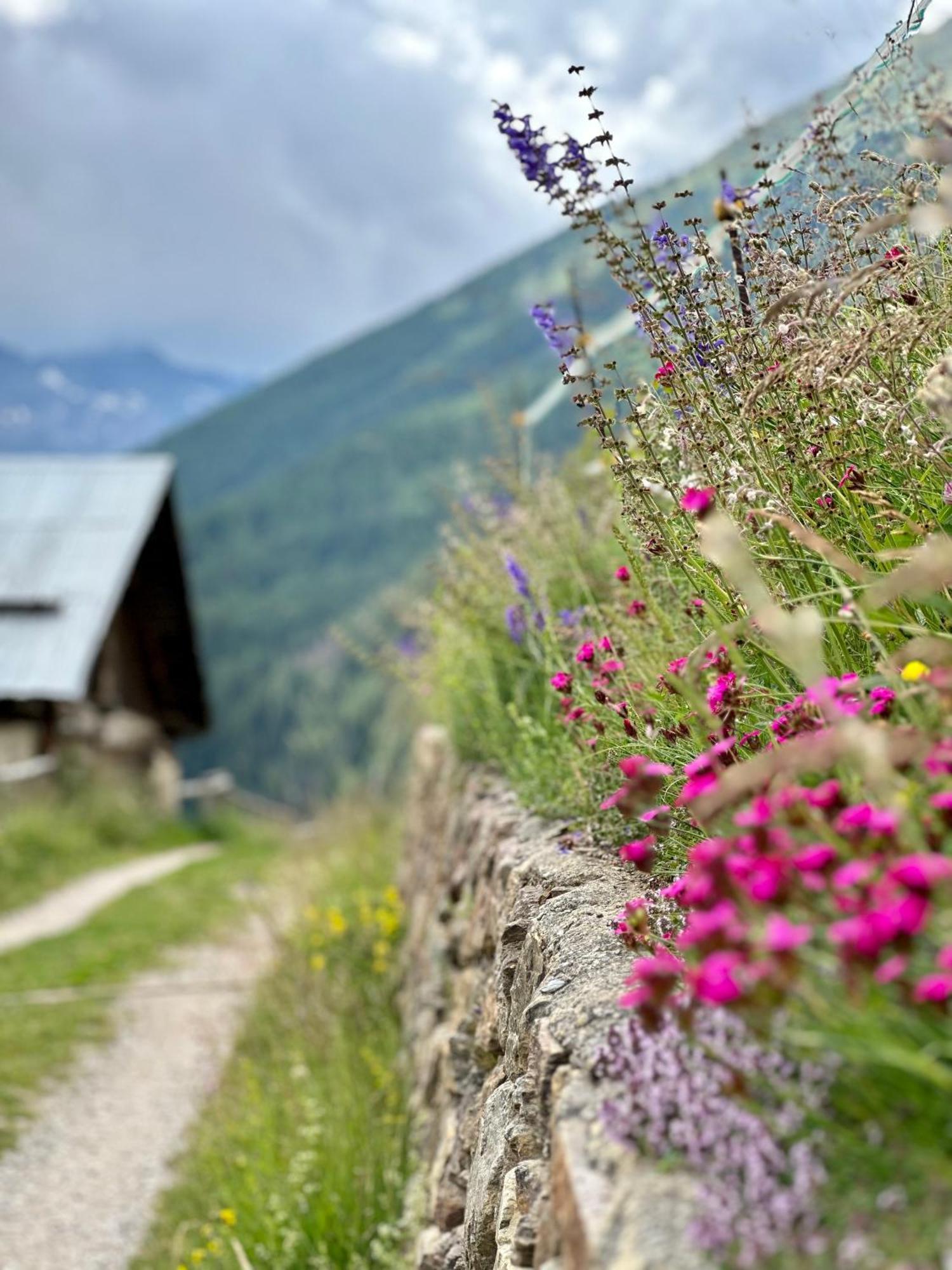 Si Mezzana Home Bagian luar foto